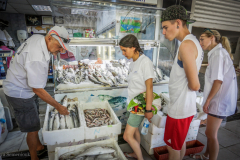 2015_K4F_Website (121)