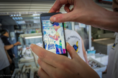 2015_K4F_Website (122)