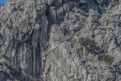 2015_K4F_Website (361)