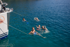 2016_K4F_Website (174)