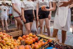 2016_K4F_Website (36)