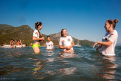 2016_K4F_Website (388)