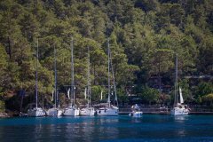 K4F_2026_071